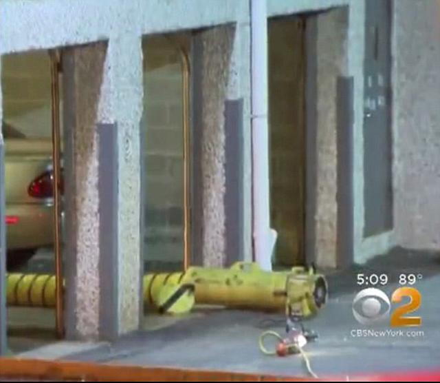 thay mui la trong nha de xe, nguoi dan ong phat hien canh tuong kinh hoang trong o to - 3