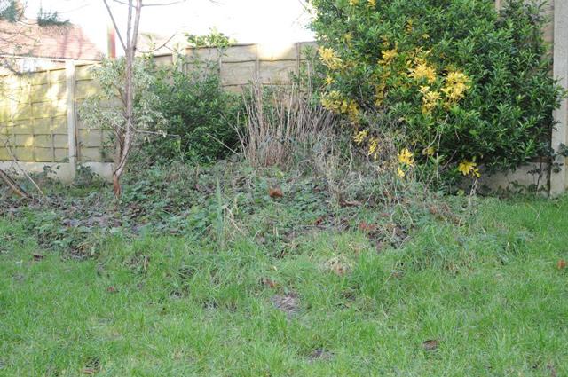 tam tham duoi goc cay to cao toi ac giet bo cua nguoi phu nu tu 12 nam truoc - 4