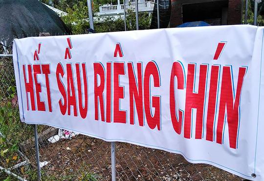 thuc hu ve “sau rieng an tra hat" gia 15.000 dong/kg - 2