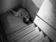 Mẹ bầu trẻ co ro nằm ngủ vội góc cầu thang bệnh viện Từ Dũ khiến ai nhìn cũng xót