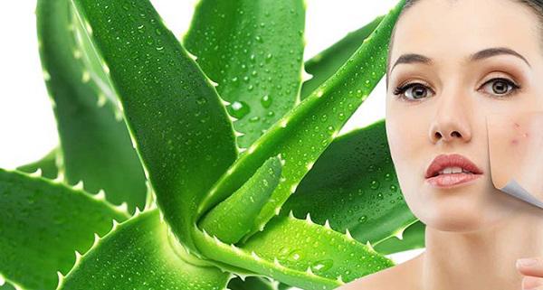 vua muon tiet kiem vua muon dep, hoc ngay 5 cach lam trang da mat ngon bo re nay! - 6