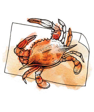 tuyet chieu an cua dung cach, vua nhanh gon lai khong bo thua mot mieng nao - 1