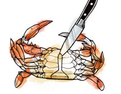 tuyet chieu an cua dung cach, vua nhanh gon lai khong bo thua mot mieng nao - 2