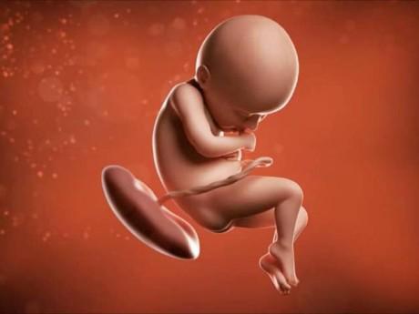 Sự phát triển của thai nhi tuần 36