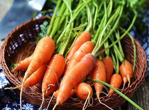 2 cách trồng cà rốt tại nhà siêu đơn giản cho củ mập mạp, ngọt ngon - 1