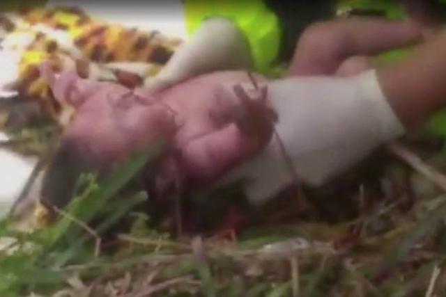 tai nan tham khoc giet chet thai phu nhung dieu ky dieu da xay den chi cach do vai met - 2