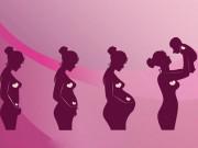 Các giai đoạn phát triển của thai nhi từ khi thụ thai đến lúc chào đời