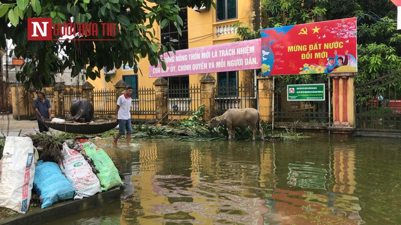 ngoai thanh ha noi khon kho vi nuoc ngap bon be, san sang di doi 14.000 ho dan - 6