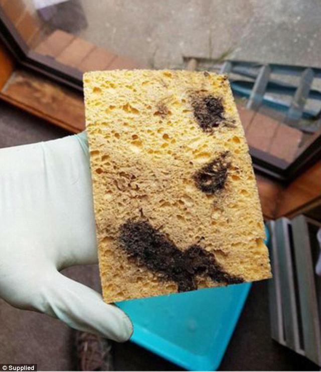 4 nam di vien 160 lan, co gai tuong nghen thai ky nao ngo do thu khong tuong trong nha - 3