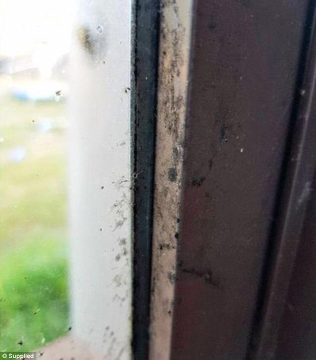 4 nam di vien 160 lan, co gai tuong nghen thai ky nao ngo do thu khong tuong trong nha - 5