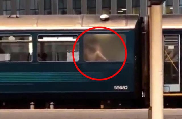 cap doi vao nha ve sinh tau hoa "may mua" cho kin, nao ngo "lo lo" truoc mat moi nguoi - 1