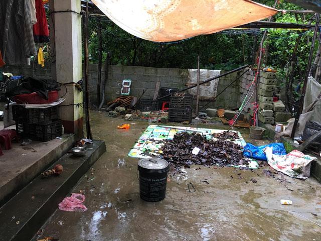 co gai 27 tuoi lay chong 70 tuoi o ha nam: cuoc song ra sao sau 8 nam ket hon? - 5