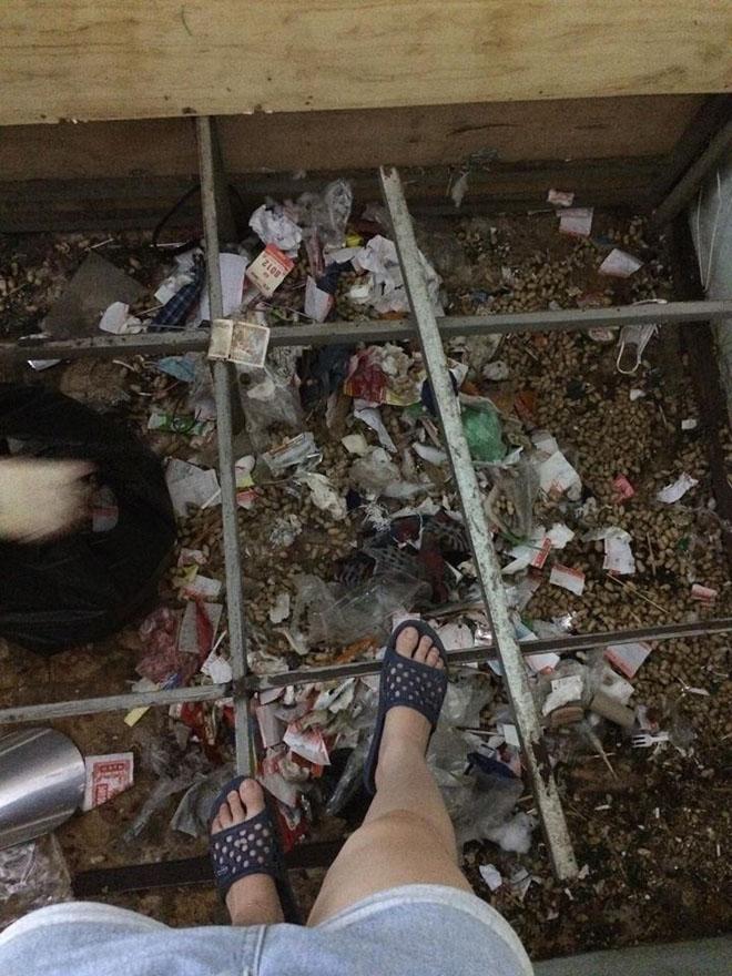 hai nu sinh xinh dep ra ngoai an dien sang chanh nhung gam giuong lai ngap ngua rac thai - 1