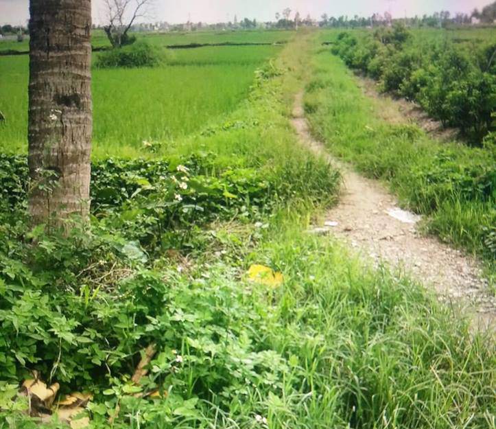 nguoi nhat duoc be trai so sinh: “thang be con nguyen day ron, co the do hon va day nhot...” - 1