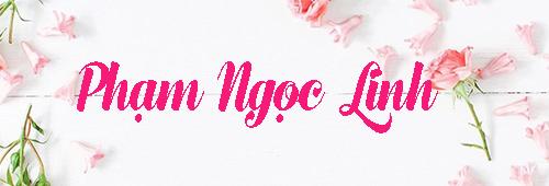 day la 2 tuong dai ve nhan sac ma cac tiep vien hang khong tre kho long vuot qua - 7