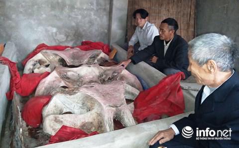 nhung cau chuyen ky la o mien dat duoc "than ca" chon lam noi an nghi - 1