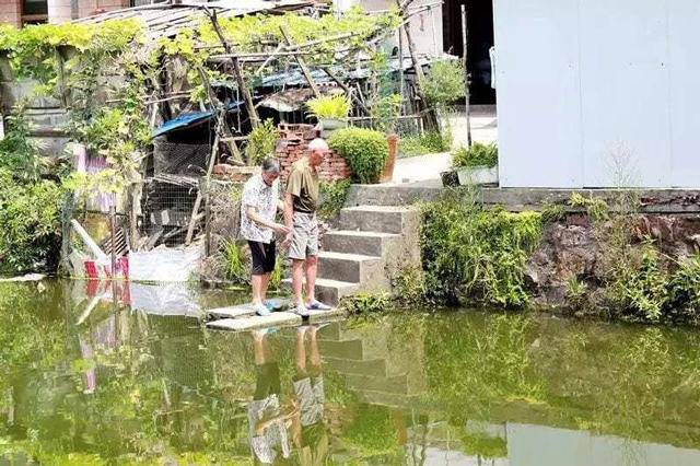 tin tuc 24h: nhung chuyen “kho tin” dang sau lo hoa tang nguoi chet - 2