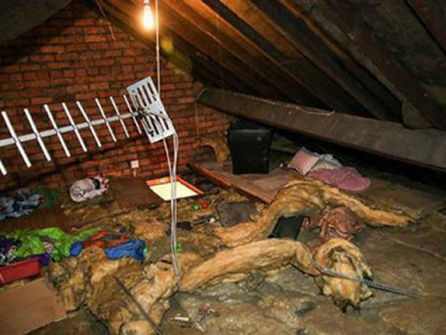 Căn gác mái phát tiếng động lạ mỗi tối, người phụ nữ tá hỏa phát hiện sự thật không ngờ