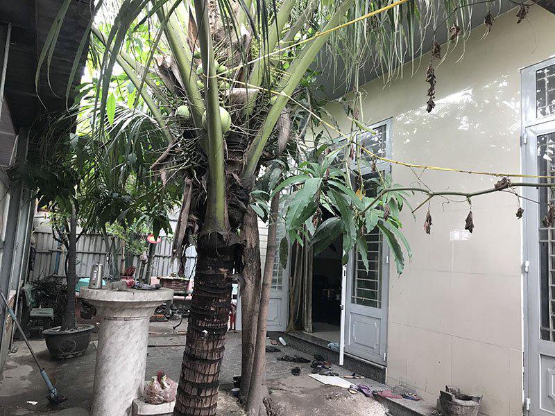 chuyen ve can nha moi khang trang o sai gon co 9 nguoi chet bi an - 3