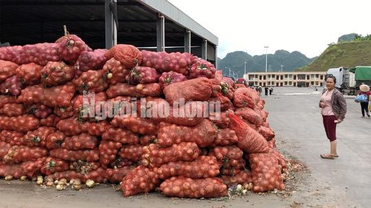 video dieu tra: hai hung duong di cua nong san trung quoc nhai da lat - 3