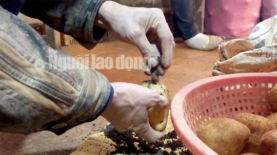 video dieu tra: hai hung duong di cua nong san trung quoc nhai da lat - 5