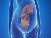 Chuyên gia tiết lộ trọng lượng thai nhi giúp mẹ theo dõi sự phát triển của bé