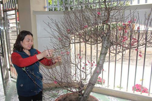 du da u50, me van toan van so huu lan da cang bong khien ai cung phai ghen ti - 10