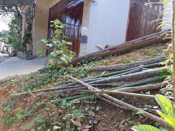 vu bac sy giet vo moi cuoi, phi tang xac: truoc mot ngay, vo chong con vui ve ben nhau - 2