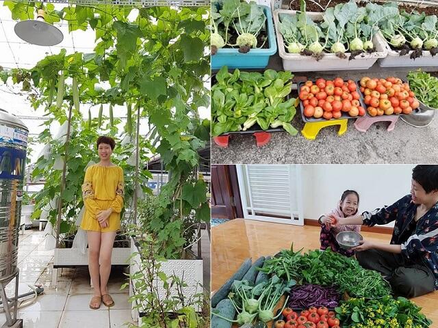Hai Phong, 3 years of plant gardening on her / her, now is & # 39; Seeing the 60m2 farm that enjoyed everyone