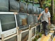 Cận cảnh: Ngắm hàng rào bằng 40 chiếc TV của lão nông ở Kiên Giang Cận cảnh: Ngắm hàng rào bằng 40 chiếc TV của lão nông ở Kiên Giang