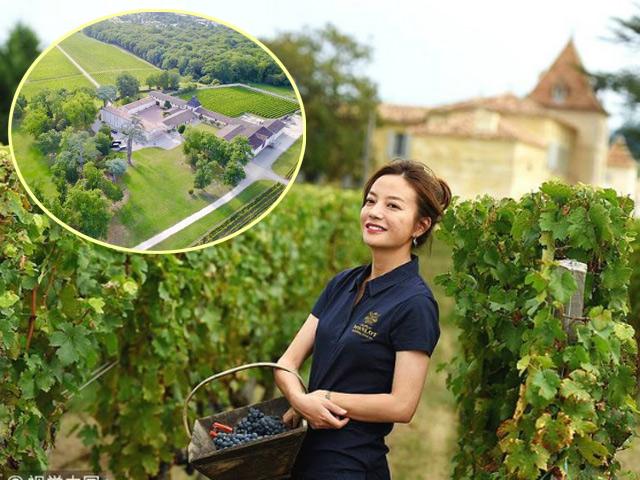 Đã mắt ngắm vườn nho cực rộng trong tửu trang 400 tuổi choáng ngợp của Triệu Vy ở Pháp