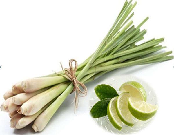 la con gai khong biet cach cham soc da mat thi dung hoi tai sao... van e - 2