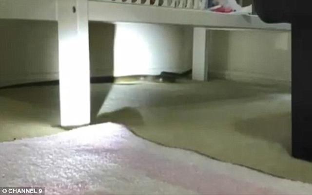 vua dat con gai 4 thang tuoi ngu trong cui, me quay lai thay canh tuong kinh di - 2