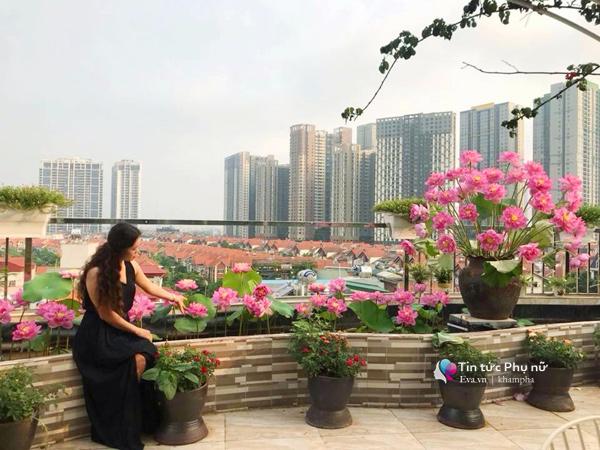 Trồng hồng trên sân thượng đẹp Việt Nam: Trồng các loài hoa hồng trên sân thượng đẹp Việt Nam là một trải nghiệm tuyệt vời, mang lại cho bạn một khu vườn đẹp với những chậu hoa rực rỡ. Bạn sẽ tận hưởng được vẻ đẹp của thiên nhiên và không gian xanh mát giữa thành phố ồn ào.