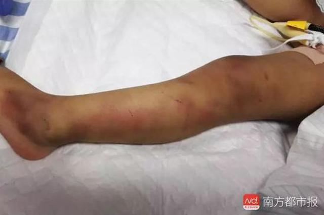 vua ly hon 6 thang con gai da qua doi, bo phan no khi biet danh tinh thu pham - 1