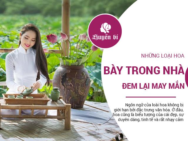 Khéo chọn loài hoa trưng phòng khách để may mắn, tiền tài đều tới cửa