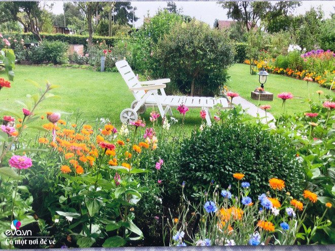Đòi chồng mua vườn tận bên Đức, mẹ Việt gây bất ngờ sau 3 năm học cuốc đất trồng hoa - 6