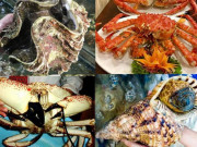 Lẩu đại gia khác lẩu bình dân như thế nào? Lẩu đại gia khác lẩu bình dân như thế nào?