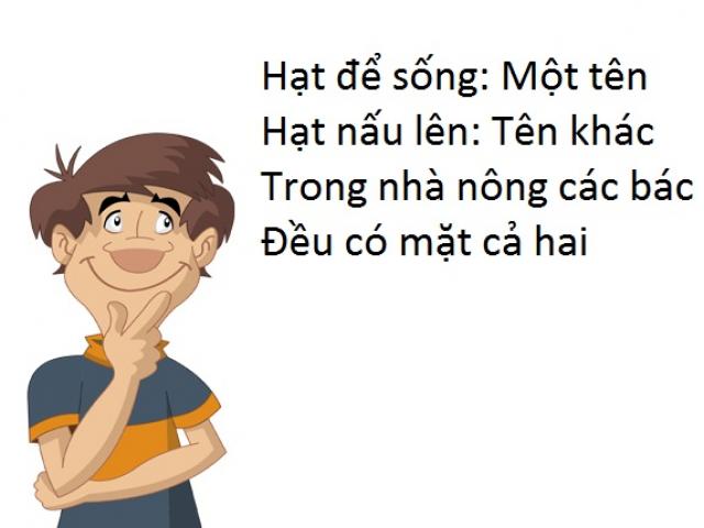 Là người Việt, bạn có chắc mình trả lời đúng hết những câu đố dân gian này?