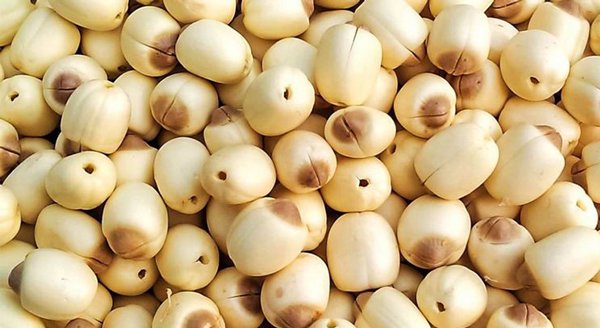 Bà bầu ăn hạt sen, không chỉ dễ ngủ mà còn được cả amp;#34;táamp;#34; lợi ích - 1