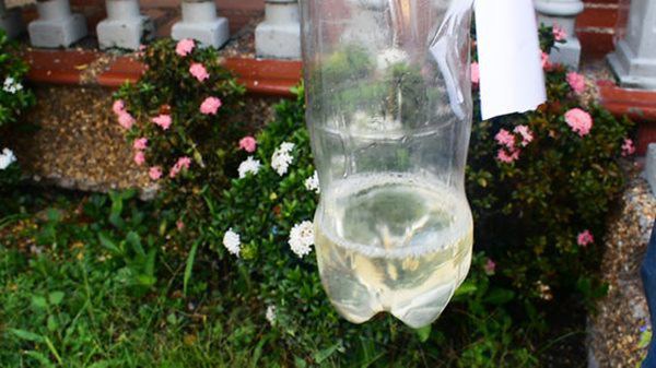 Lấy đinh đục lỗ trên chai nhựa tiết kiệm tiền triệu, tôi đã hối hận vì không biết sớm hơn - 1