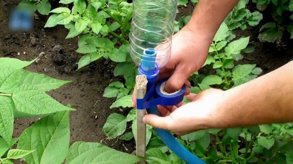 Lấy đinh đục lỗ trên chai nhựa tiết kiệm tiền triệu, tôi đã hối hận vì không biết sớm hơn - 5