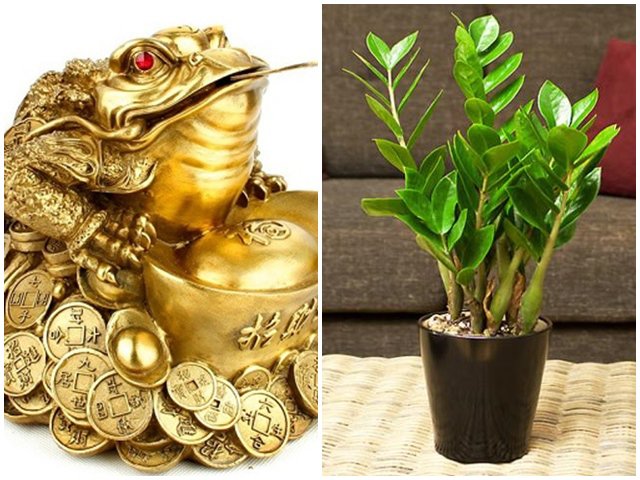 6 vật phẩm phong thủy hút tài lộc, nghèo tới mấy cũng dễ giàu sang phú quý