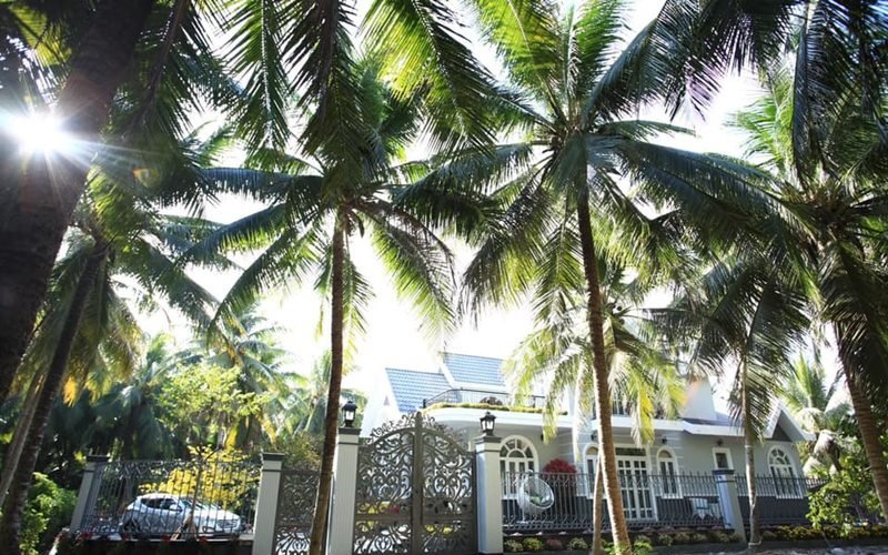 Căn nhà có diện tích xây dựng 500m2, được bao bao phủ bởi rừng dừa xanh với diện tích vườn 10.0000m2.
