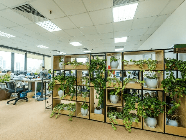 Không gian làm việc độc đáo, cây xanh phủ khắp nơi