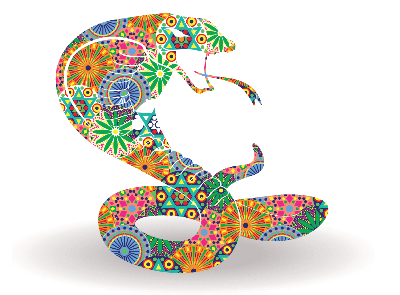 День змеи какой день. Всемирный день змей. Разноцветная змея. Международный день змеи. Международный день ЗМИ.