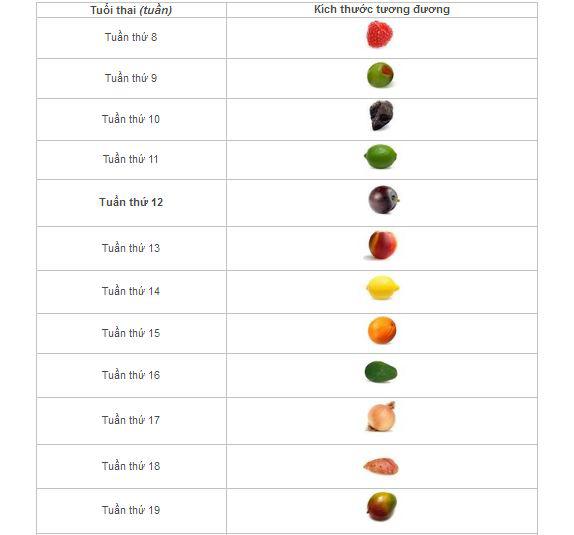 Cân nặng thai nhi theo tuần chuẩn trọng lượng và chiều dài - 1