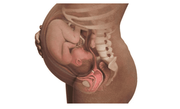 Thai 39 tuần bé đã phát triển toàn diện và các dấu hiệu sắp sinh - 3