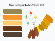 Mệnh Kim hợp màu gì sẽ đem lại nhiều may mắn? Mệnh Kim hợp màu gì sẽ đem lại nhiều may mắn?