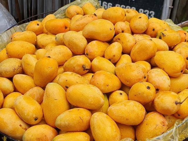 Xoài mini hạt lép bán tràn lan ở chợ, chị em mua tới tấp dù không biết ở đâu
